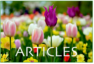 Articles
