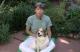 Introduction to Small Animal Acupressure-Demo
